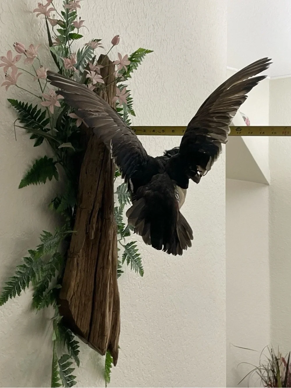Wall-Mount Decorative Wood Duck Bird Mount in Brown and Black